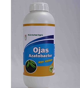 Ojas - Azotobacter