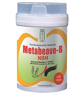 Metabeav B NBM