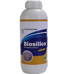 Biosilica