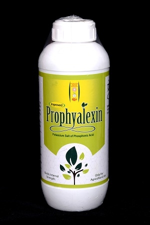 Prophyalexin